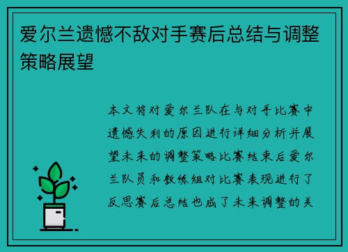 爱尔兰遗憾不敌对手赛后总结与调整策略展望