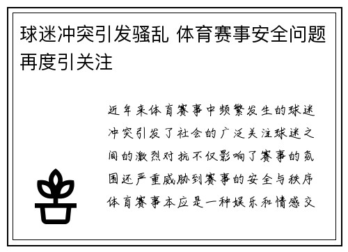 球迷冲突引发骚乱 体育赛事安全问题再度引关注