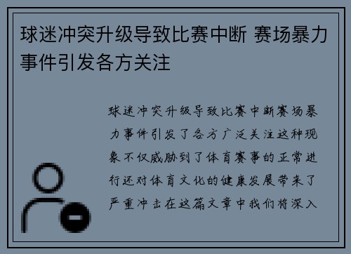 球迷冲突升级导致比赛中断 赛场暴力事件引发各方关注