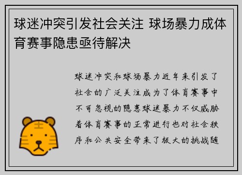 球迷冲突引发社会关注 球场暴力成体育赛事隐患亟待解决